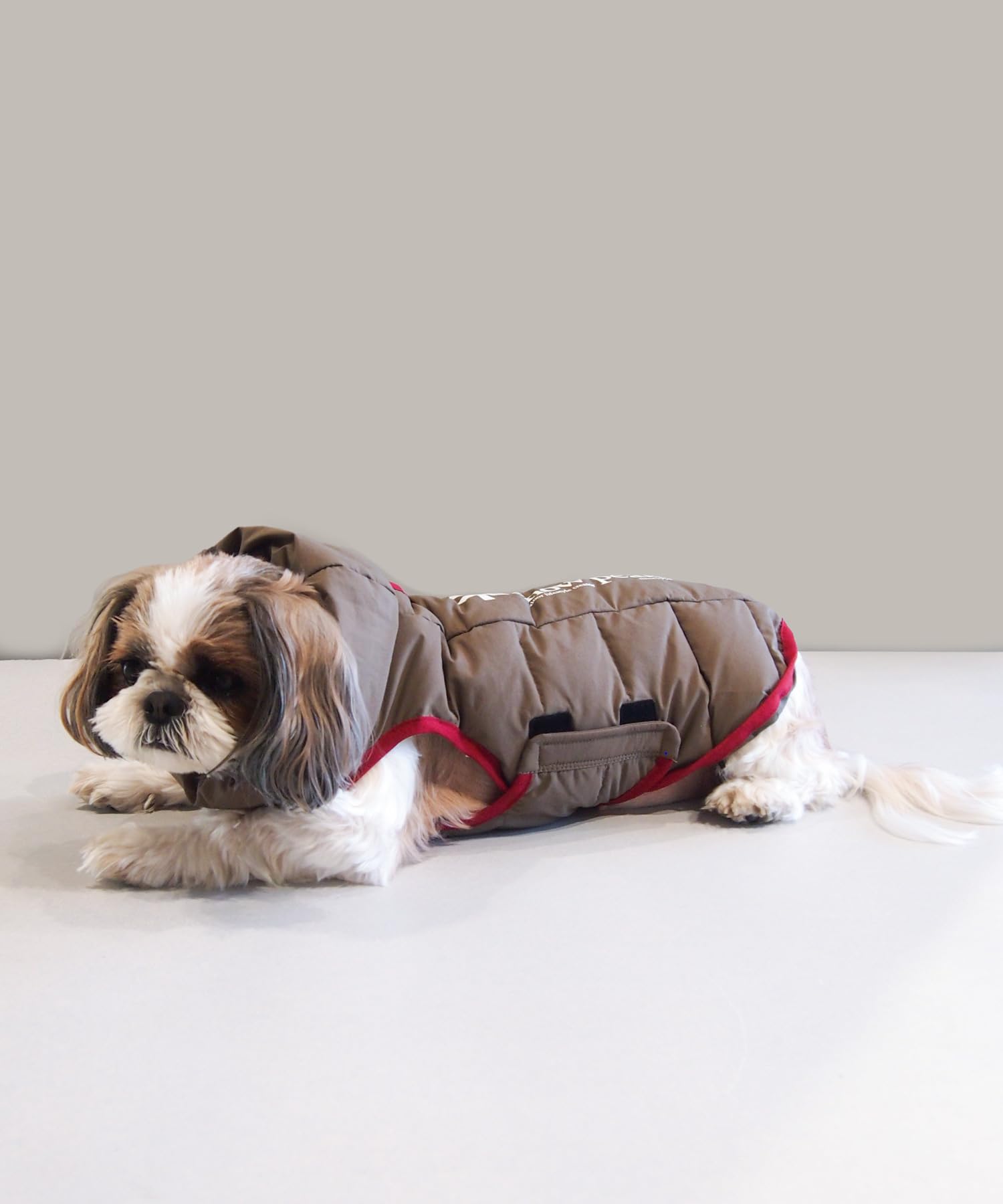 Amazon.co.jp: スノーピーク(snow peak)Dog Down Jacket DS-25AU008